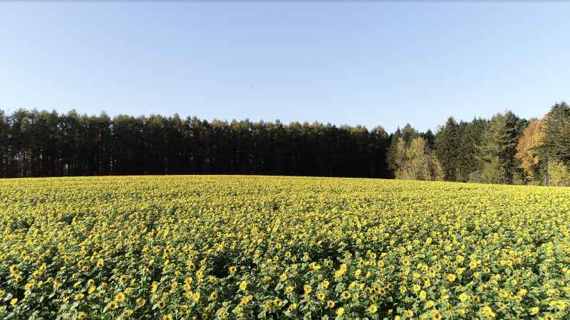 北海道 網走 映像素材撮影